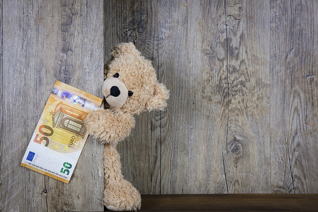 Ein Foto von einem Teddy, der einen 50 Euro Schein hält