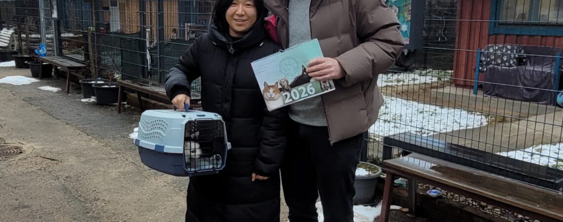 Eine Frau und ein Mann, die eine Katze in der Transportbox haben und sie adoptieren.